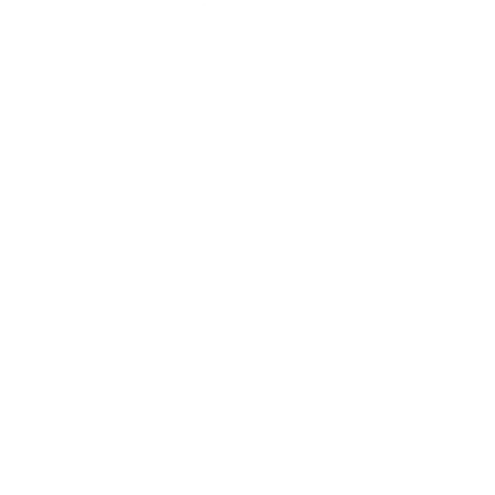 بررسی علمی و اصولی مسئله و استفاده از پتانسیل شرکت‌های خصوصی و مهندسی