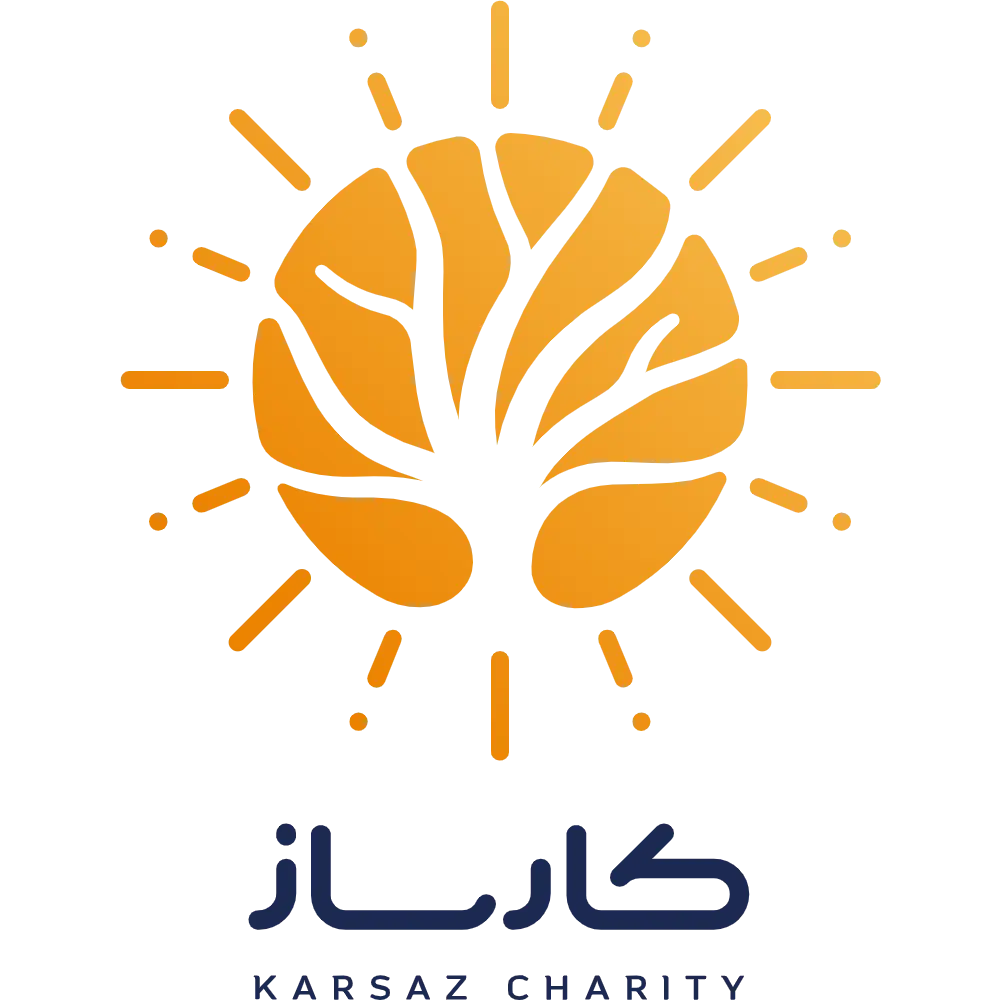 چشم‌انداز کارساز