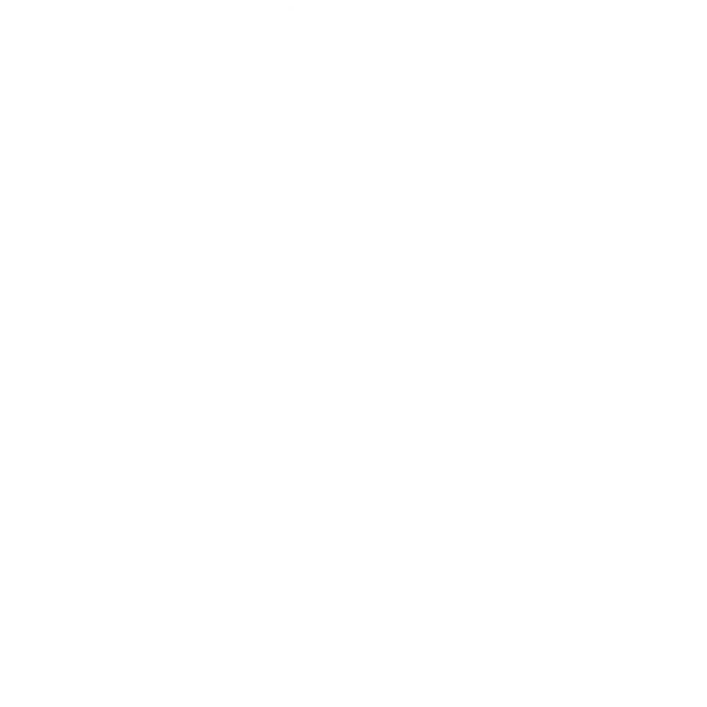 تاکنون از این طریق ظرفیت اشتغال بیش از ۳۰۰ میلیون فرد فقیر در دنیا شکوفا گردیده است.