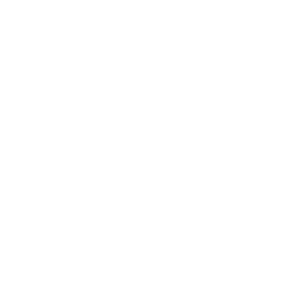 تعداد اساتید همراه